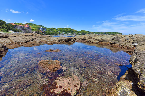 今井浜海水浴場のタイドプール