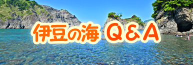 伊豆の海Q&A